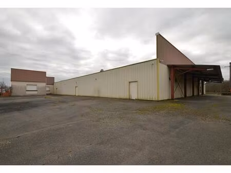 vente local industriel 15 pièces 3600 m² moulin-neuf (24700)