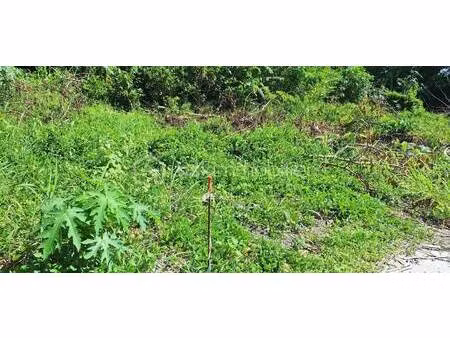 terrain constructible à vendre