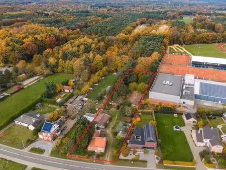 terrain à vendre à meerhout € 249.000 (lmjp6) - vast & goed makelaars | zimmo