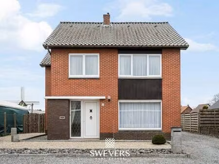 maison à vendre à molenbeersel € 324.000 (lmj5x) - swevers real estate | zimmo