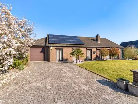 maison à vendre à zonhoven € 469.000 (lmkgc) - heylen vastgoed - hasselt | zimmo