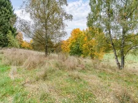 terrain plat à bâtir situé à maissin (paliseul)