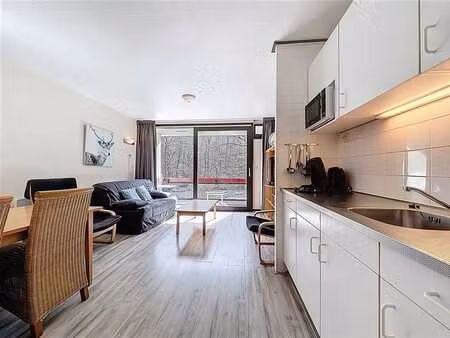 appartement en bordure d'amblève avec terrasse.