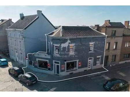 lot de deux maisons à vendre à monceau-sur-sambre.