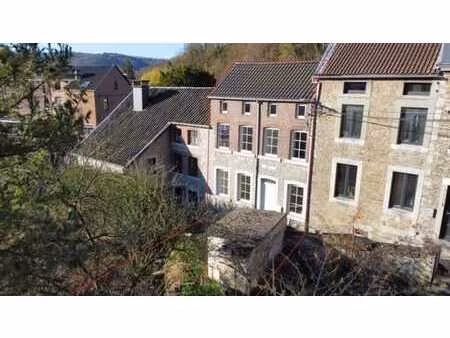 charmante maison lumineuse à trooz