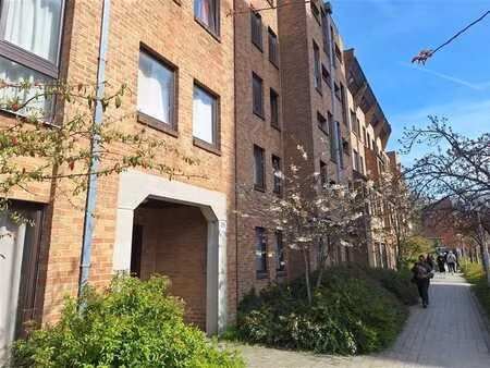 investissement studio etudiant - campus alma