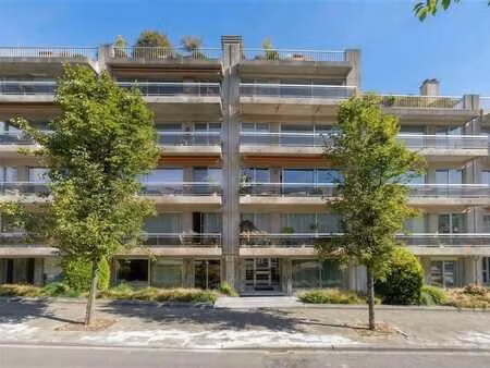 quartier mai: studio avec grande terrasse/jardin