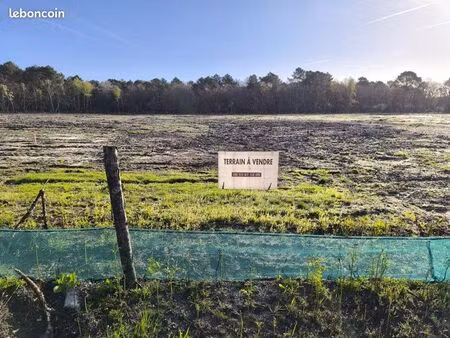 terrain saint andré 315m2