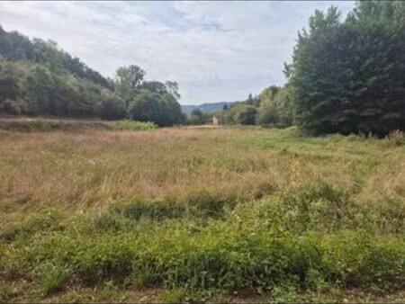 location de terrain pour animaux