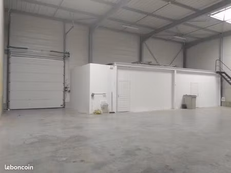 local bureaux 276 m²