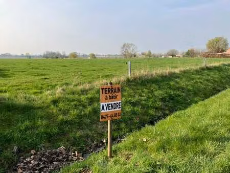 terrain à bâtir jurbise 9500m² à vendre