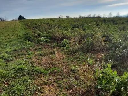 loue terrain montanay 1000 m2