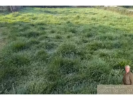terrain