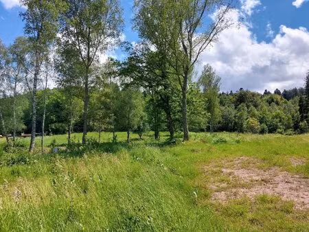 saulcy-sur-meurthe - parcelle de terrain à bâtir viabilisée