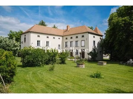 dans le nord du département du puy-de-dôme  un château établi au centre d'un terrain de 5.