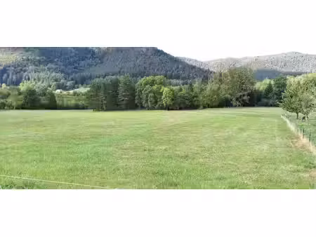 terrain exceptionnel sur les hauteurs de saint-dié-des-vosges