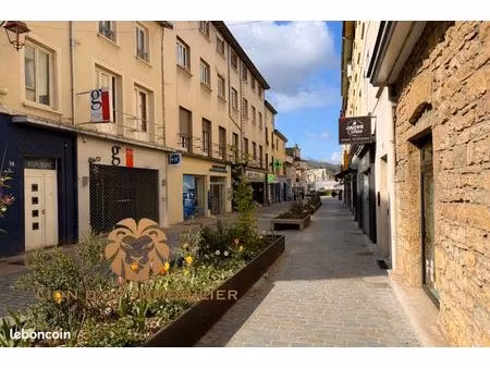 local commercial 120 m² neuville-sur-saône