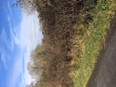 vente terrain à saint-valérien (85570) : à vendre / saint-valérien