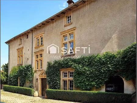 vente maison 13 pièces 502 m² saint-jean-la-bussière (69550)