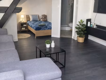 nancy  faubourg des 3 maisons  studio loué