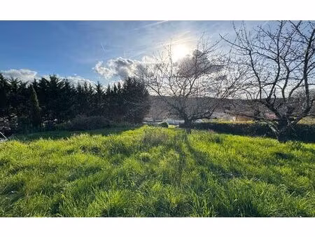 terrain beaupuy m² t- à vendre  223 000 €