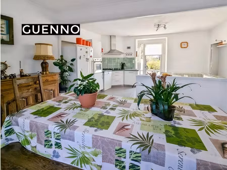 vente maison à fercé (44660) : à vendre / 120m² fercé