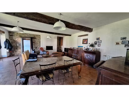 maison saint martory 9 pièce(s) 310 m2