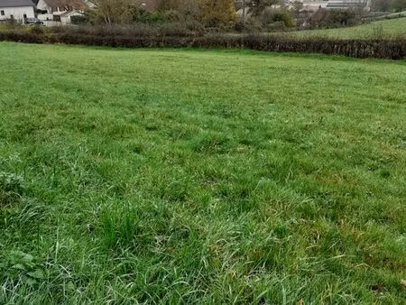 terrain constructible