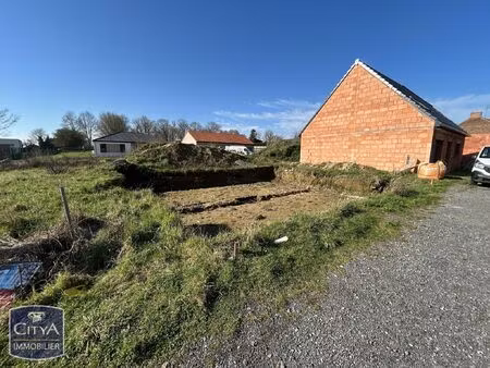 terrain