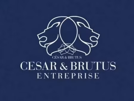 vente commerce 50 m²