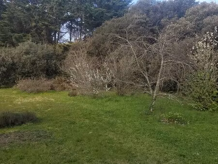 terrain constructible