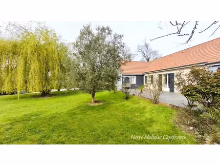 vente maison à néville (76460) : à vendre / 173m² néville