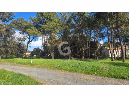 vente terrain 459 m² jard-sur-mer (85520)