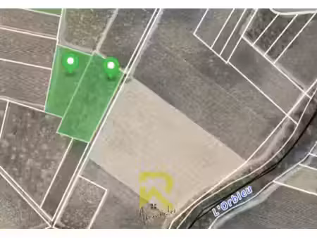 vente terrain 9595 m² à raissac-d'aude (11200)  22 000 €