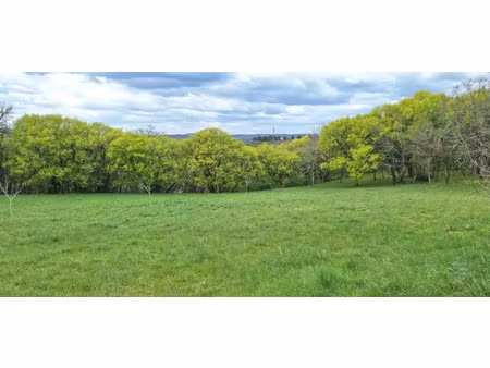 vente terrain 6000 m² à pinsac (46200)  40 000 €