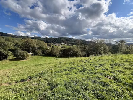 vente terrain 2219 m² à poule-les-echarmeaux (69870)  48 000 €