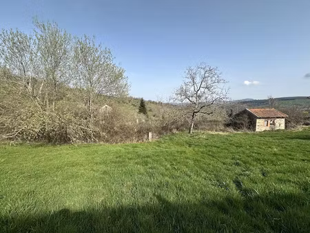 vente terrain à batir 1811 m² à deux-grosnes (69860)  19 000 €