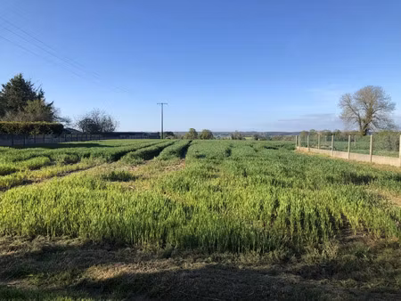 vente terrain à peillac (56220) : à vendre / 2510m² peillac