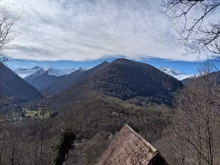 vente terrain 54099 m² à castillon-en-couserans (09800)  55 500 €