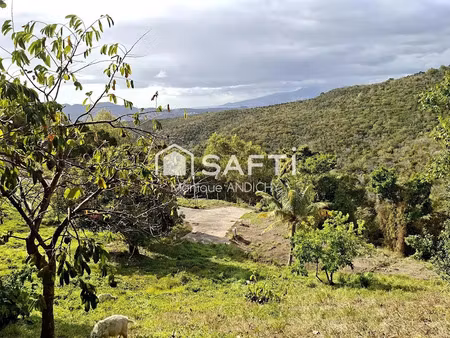 vente terrain 785 m² à sainte luce (97228)  75 000 €