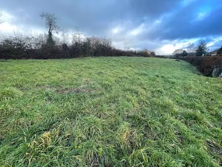 vente terrain à batir 1321 m² à damouzy (08090)  80 000 €