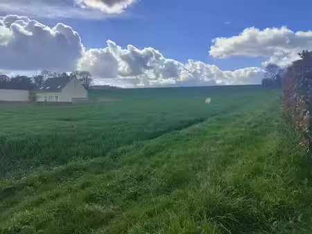 vente terrain 1150 m² à fresneaux-montchevreuil (60240)  85 000 €