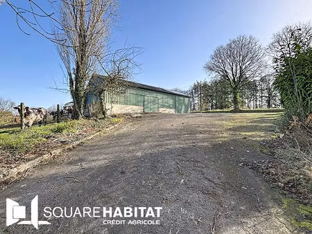 ensemble agricole la chapelle jason 35133 avec maison  hangar et 5ha de terres