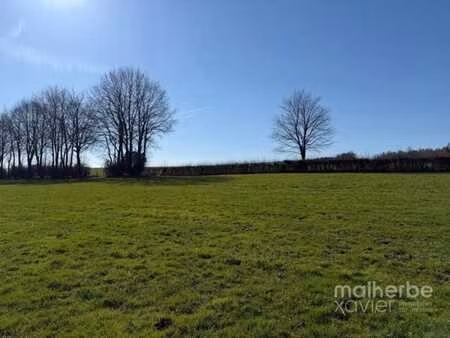 terrain agricole de ± 3 36 hectares à walk (waimes) – opport