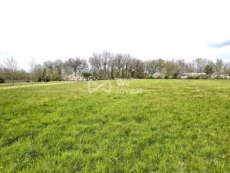 we invest sylvia leclancher