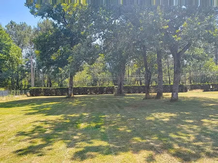 vente terrain 1348 m² à saint-jean-d'illac (33127)  212 000 €
