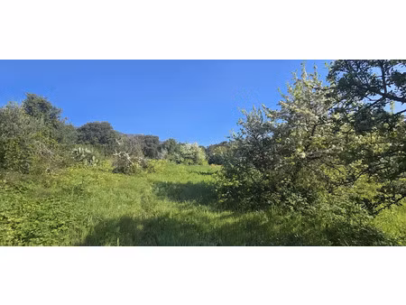 vente terrain 2158 m² à olmeto (20113)  420 000 €