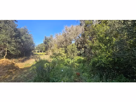 vente terrain 2162 m² à olmeto (20113)  390 000 €