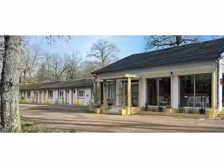 vente locaux professionnels 0 pièces 404 m² à mesves-sur-loire (58400)  187 000 €