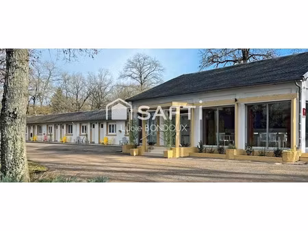 vente locaux professionnels 404 m² à mesves-sur-loire (58400)  187 000 €